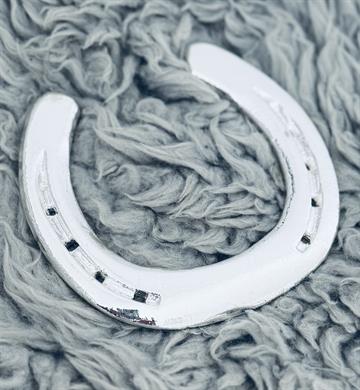 Forsølvet hestesko Navneparadis 